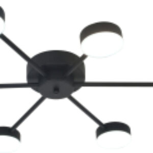 Потолочный светильник XL-20603/6 BK 21век