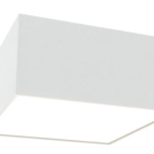 Потолочный светильник Zon C067CL-L12W4K 21век