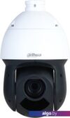 IP-камера Dahua DH-SD49225DB-HNY