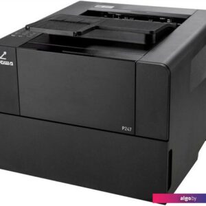 Принтер Катюша P247E