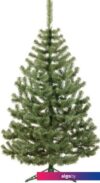 Пихта Erbis Jodla 1.2 м