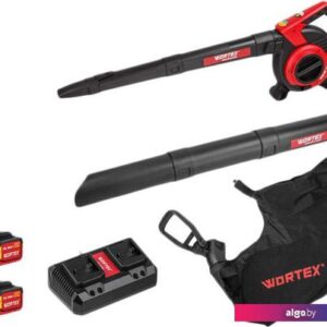 Ручная воздуходувка Wortex BB 2536-1 D ALL1 Solo 1333418 (с 2-мя АКБ)