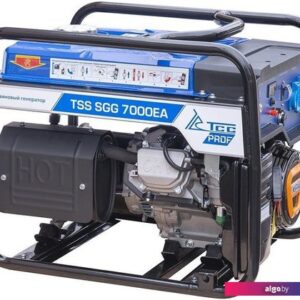 Бензиновый генератор ТСС SGG 7000EA