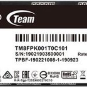 SSD Team MP44L 1TB TM8FPK001T0C101