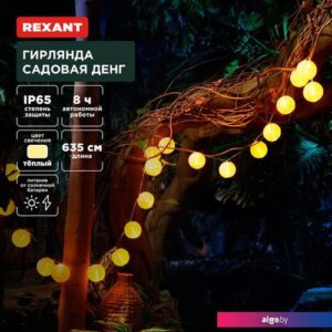Новогодняя гирлянда Rexant Денг 602-2428