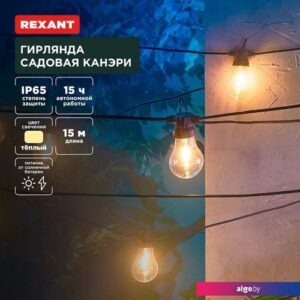 Новогодняя гирлянда Rexant Канэри 602-2422