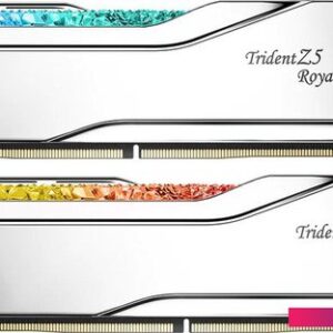 Оперативная память G.Skill Trident Z5 Royal 2x32ГБ DDR5 6400МГц F5-6400J3239G32GX2-TR5S