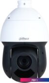 IP-камера Dahua DH-SD49216DB-HNY