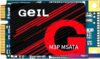 SSD GeIL M3P 1TB M3PFD09I1TBA