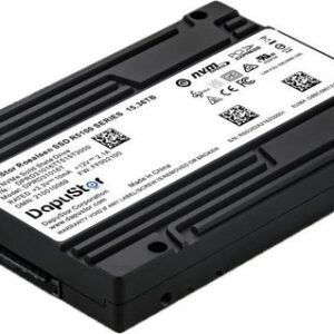 SSD DapuStor Roealsen5 R5101 3.84TB