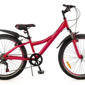 Велосипед Favorit Discovery 24VA DIS24V11RD-AL