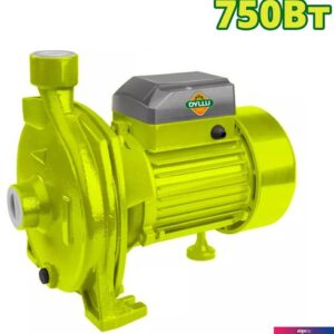 Центробежный насос Dyllu DTWPCA03
