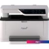МФУ F+ MB301DNW