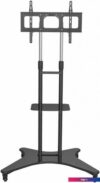 Кронштейн CACTUS CS-ST31