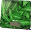 Кухонные весы Vitek VT-8035