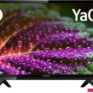 Телевизор IRBIS 24H1YDX101BS2