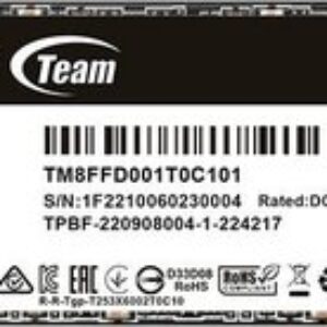 SSD Team MP44Q 1TB TM8FFD001T0C101