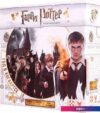 Настольная игра Стиль Жизни Гарри Поттер. Год в Хогвартсе