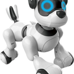 Музыкальная игрушка IQ Bot Собака Koddy 4376315