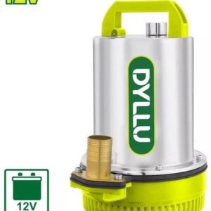 Дренажный насос Dyllu DTWPQDC12