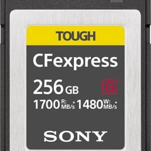 Карта памяти Sony CFexpress Type B CEB-G256 256GB