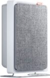 обзор Очиститель воздуха SmartMi Air Purifier E1 ZMKQJHQE11 (международная версия, белый)