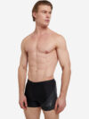 Плавки мужские Speedo