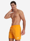 Шорты мужские Speedo