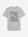 Футболка мужская Puma