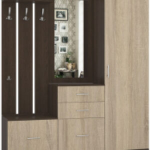 Секция в прихожую Визит-1 21век