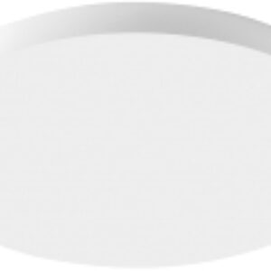 Потолочный светильник AL1600 / 48885 21век