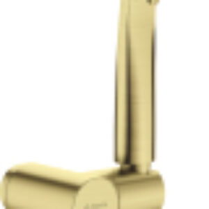 Душевой гарнитур Arnika Gold BR NQA_R41K 21век