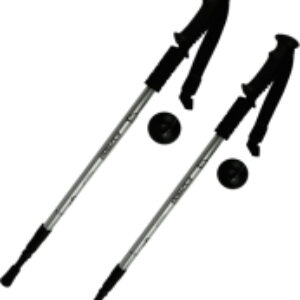 Палки для скандинавской ходьбы ENW-003 21век