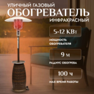 Уличный инфракрасный газовый обогреватель PH01-S-V 21век