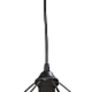 Потолочный светильник V4258-1/1S 21век