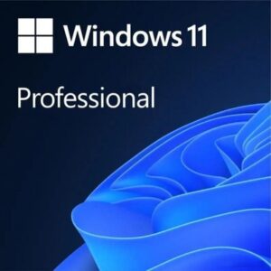 Операционная система Windows 11 Pro 64Bit Russian 1PK DSP OEI DVD (FQC-10547) 21век