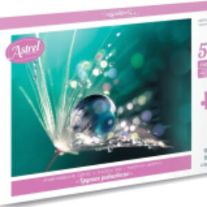 Пазл Астрель. Хрупкое равновесие / 06492 21век