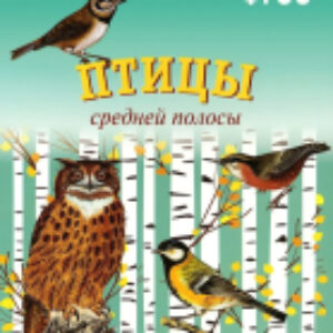 Наглядное пособие Мир в картинках. Птицы средней полосы / МС10575 21век