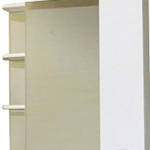 Шкаф с зеркалом для ванной Камелия-12.70 Д3 21век