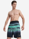 Шорты мужские Speedo