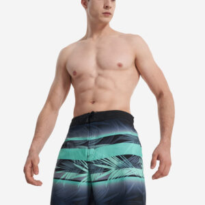Шорты мужские Speedo