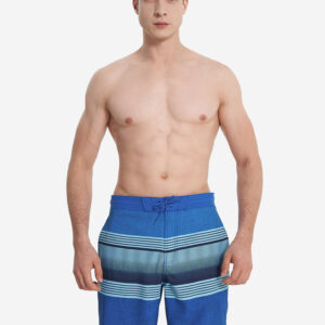 Шорты мужские Speedo