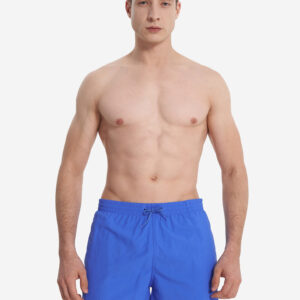 Шорты мужские Speedo