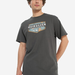 Футболка мужская Quiksilver