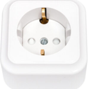 Розетка Пралеска РА16-280 21век