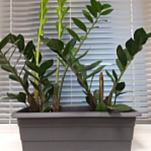 Кашпо №1 21век