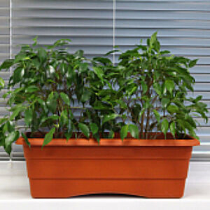 Кашпо №1 21век