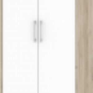 Шкаф Оливия О22 21век