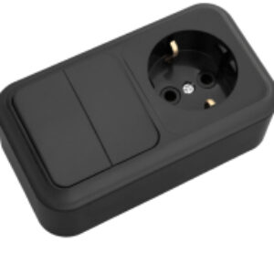 Блок выключатель+розетка 2В-РЦ-529 21век