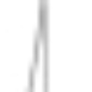 Потолочный светильник 4244-2P 21век